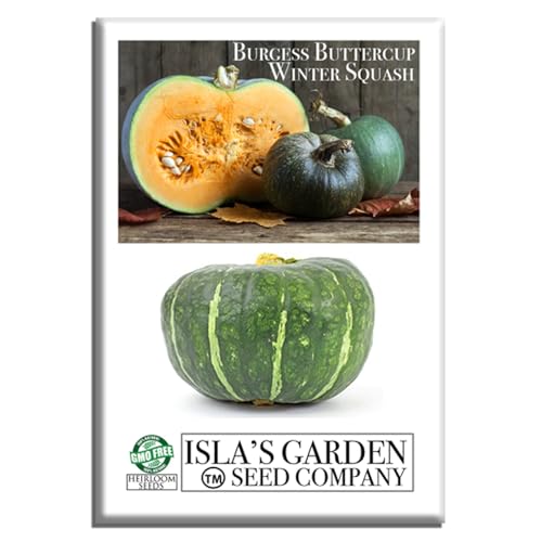 Burgess Buttercup Winter Squash, 25 Heirloom Seeds Per Packet, Non