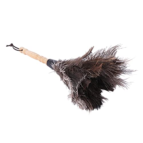 Eighosee Antiestático Herramienta De Limpieza De Polvo De Cepillo De Piel De Plumas De Avestruz Manejar De Madera