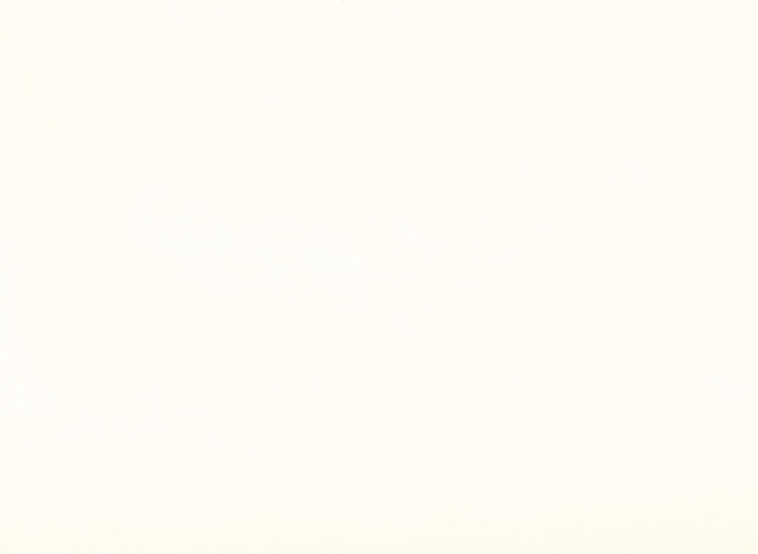 First of a Kind Wingback Chair in Cream Velvet