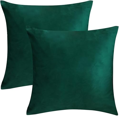 AMZ-NATURALIFE Juego de 2 fundas de almohada de 16 x 16 pulgadas, terciopelo verde oscuro, fundas de cojín cuadradas decorativas suaves y sólidas,