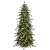 Prelit Artificial Full Christmas Tree 75FT with 2856 PE PVC Tips Premium Pre Lit Holiday Xmas Tree with 450 UL Incandescent Lights Metal Hinges Foldable Base for Home Office Party Green