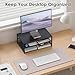 ECOLOVI 2-Tier Computer Monitor Stand Riser, Desk Organizer for Monitor, Printer & Laptop Stand, Desktop Workspace Organizers for Office Supplies(Black)