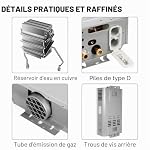 Chauffe-eau au Gaz Propane gpl 6L, 16kW Chauffe Eau Camping Car, chauffe-eau Instantané Sans Réservoir, Modes Hiver et Été, pour le camping, la Caravane et la Maison