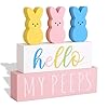 Easter decorations for the home 5pcs easter bunny wooden table centerpiece signs cute easter decor peep rabbits wooden block set table decor farmhouse rustic tiered tray decor easter gifts  urban country home decor