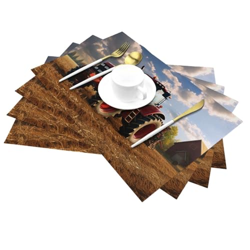 Sets de table rectangulaires 30x45cm lot de 4 en PVC lavable résistant - 3