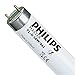 Price comparison product image Philips TL-D 58W/865 G13 Daylight