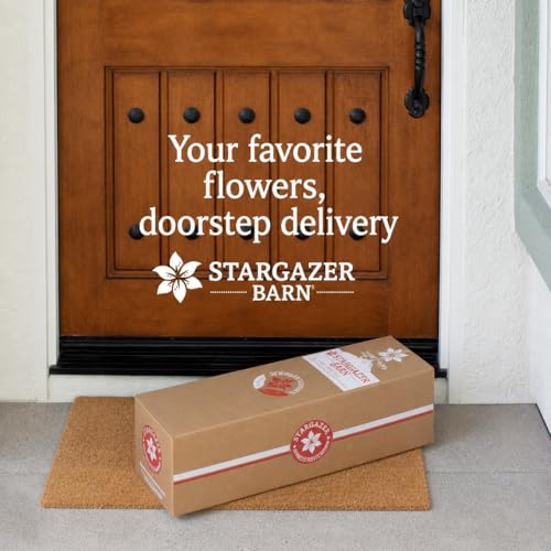 Image of Stargazer Barn 15 Stem Rainbow Tulips Bouquet - Fresh Cut Flower Delivery, Hand-Tied in the USA, Gift for Birthday, Anniversary, Sympathy or Home Decor - Vase Not Included