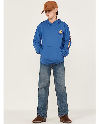 Carhartt Boys' Long-Sleeve Hooded Graphic Sweatshirt, Bright Cobalt, X-Large (18/20) #TOP1
