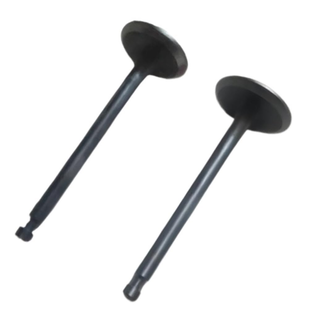 Itrvcay One Color Intake And Valve Fit For Gx100 Eu20i Gxr120 Gx100t Engine Part 14721-Z0d-000 14711-Z0d-000