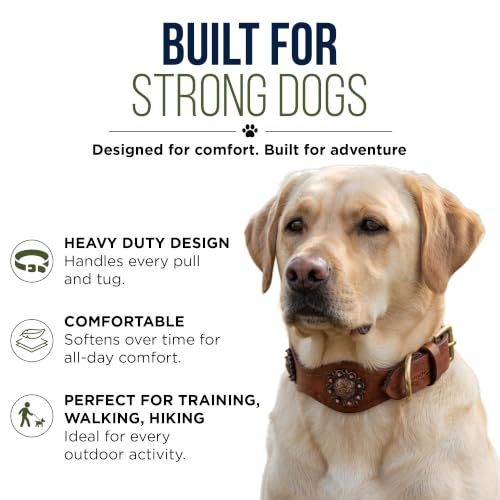 Image of Genuine Leather Dog Collar, X Large, Scalloped Edges, Hand Tooled | Brass Buckle, D Ring, Adventure, Thick Leather, Heavy Duty, Hand-tooled Western Design, Fit Neck Size 22 inch-26 inch