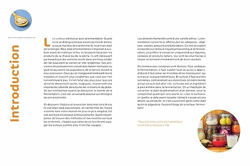 Aliments fermentés, aliments santé: Méthodes, conseils et recettes – vue 2