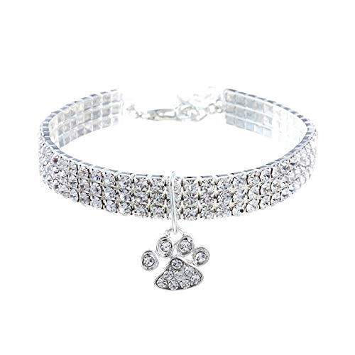 Hitasi �I�V���� �y�b�g ��� �L �� ���� �I�V���� �L���L�� �~�j �l�H�_�C�������h �L ���p��� ���߉\ ���S ���E�ȒP�y�� �y�b�g��� �N���X�}�X �p�[�e�B�[ ������ �y�b�g�p�i �a���� �j�� ���j�� S ����