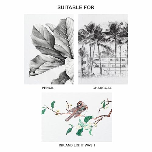 Image of Anupam A3 Artists Sketching & Drawing Paper 140 GSM 10 Loose Sheet for Sketching & Drawing with Pencil, Charcoal, Graphite, Chalk, Oil Pastel & Wax Crayon for Artist's & Amateurs (Pack of 5)