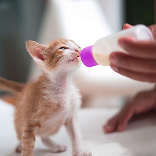 image for Frienda Pet Feeding Bottle Kit, Squeeze Liquid Cat Nursing Bottle Need