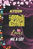  Alyssum Loves Me A Lot: Birthday Gift For Alyssum All Man and Woman, Boy and Girl Design . Thinking Alyssum Design and Blank Lined Notebook