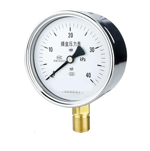 Manomètre à capsule YE-100 à haute sensibilité 0-100KPA cadran lisible