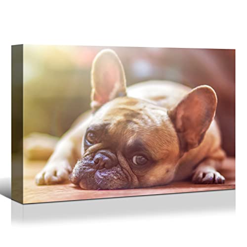 Looife 40"x28" Custom Canvas Prints with Your Photo, Personalized Pictures