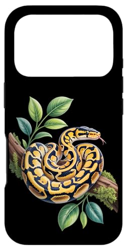 �ʔ����{�[�� �p�C�\�����D�� �w�r ঒��� �p�C�\�� Ball Python Regius Snake Lover �X�}�z�P�[�X iPhone 17 Pro �p