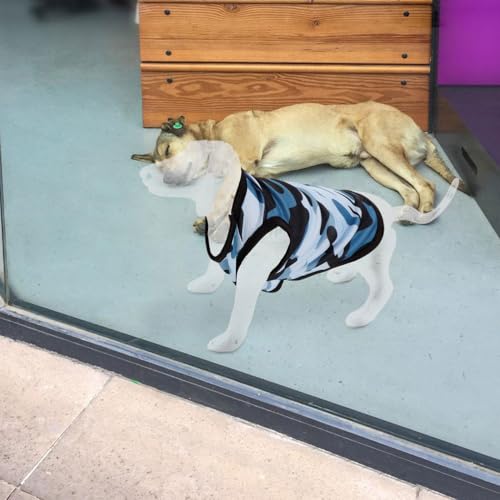 Hund Schaufensterpuppe 2st Haustierbekleidungsmodell Stehender Aufblasbarer Hund Haustier Schaufensterpuppe Stehende Aufblasbare Hunde Für Hundekleidung Stehendes Hundemodell PVC