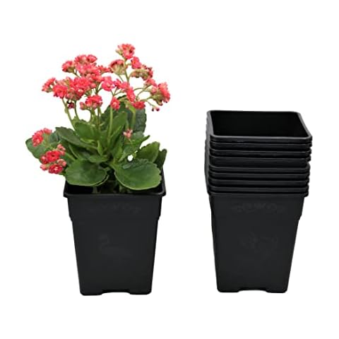 Square Nursery Pot 0.5 Gallon Plastic Planters for Outdoor Indoor Plants 10-Pack with Drainage Holes Cover