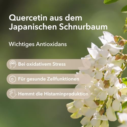 Medicom - Quercetin, Natürliches Quercetin mit Sophora Japonica Blütenextrakt, Schützt die Zellen vor Oxidativem Stress, mit Antioxidativer, Entzündungshemmender und Senolytischer Wirkung - 60 Kapseln