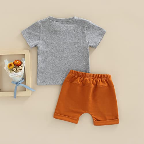Baby Boys Clothes Sets Short Sleeve Letter Printed T-Shirt Tops + Solid Color Short Pants (X-Grey, 0-3 Months) #TOP2
