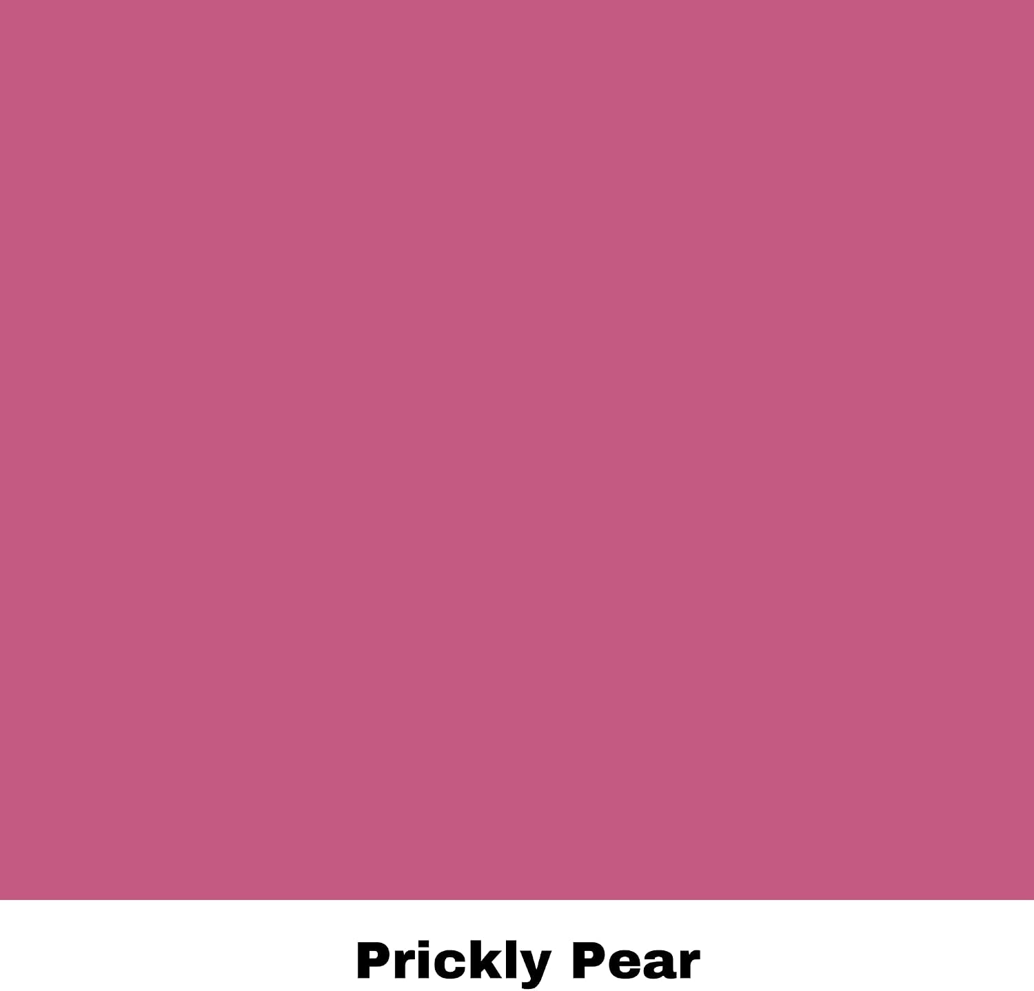 Dixie Belle Silk All-in-One Mineral Paint - Prickly Pear (4oz) - Deep Cool Pink Water Based Built-In Primer + Topcoat for Wood + Metal - Durable Furniture Paint - Low Reflective Finish