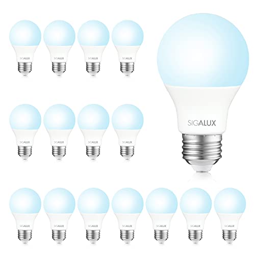 Sigalux B10 2700K Soft White, Type B Filament Candle Light Bulbs Ul Listed, 12 Pack & A19 Standard Light Bulbs 5000K Nd 16 Pack #TOP4