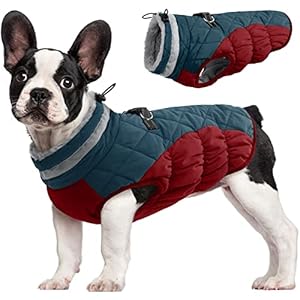 FUAMEY Dog Winter Jacket,Dog Cold Weather Coats Paded Dog Vest with Harness Built in Pet Warm Clothes Dog Apparel with Back Zipper Dog Water Resistant Coat for Small Medium Large Dogs Dark Blue M