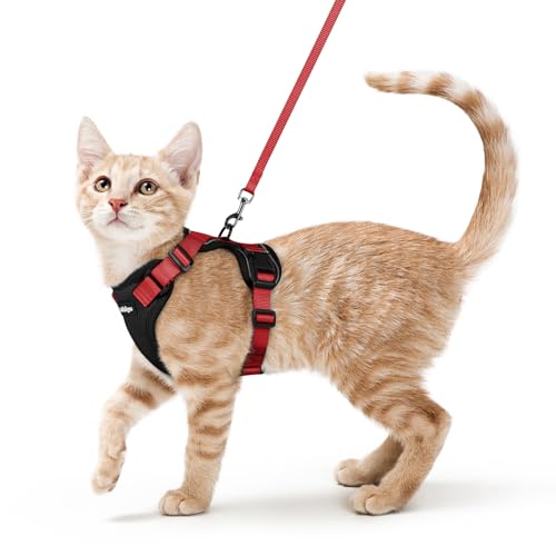Image of rabbitgoo Cat Harness and Leash Set, Escape Proof Vest, Black & Red | Soft Breathable Mesh, Easy Adjustable Fit, Snap Buckles, Sturdy Clip, Reflective Strips, for Average Cats Walks, S