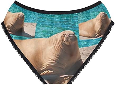 Walrus Panties, Walrus Underwear, Briefs, Cotton Briefs, Funny Underwear, Panties For Women