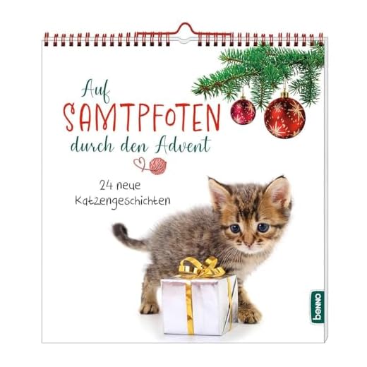 Auf Samtpfoten durch den Advent: 24 neue Katzengeschichten