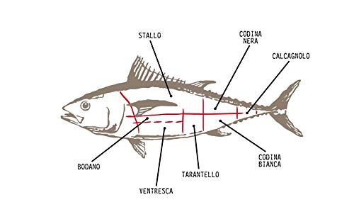 Mediterraner Roter Thunfisch Buzzonaglia in Olivenöl IV Regia di Sardegna - 2 Packungen mit 185g - Handgefertigt in Sardinien, Italien - Sardische Handwerksproduktion als Kosher zertifiziert