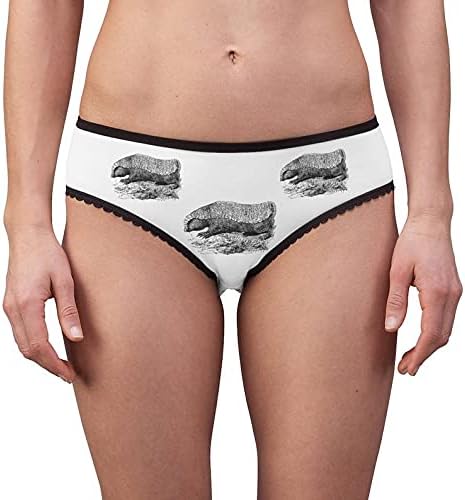 Pink Fairy Armadillo Panties, Pink Fairy Armadillo Underwear, Briefs, Cotton Briefs, Funny Underwear, Panties For Women