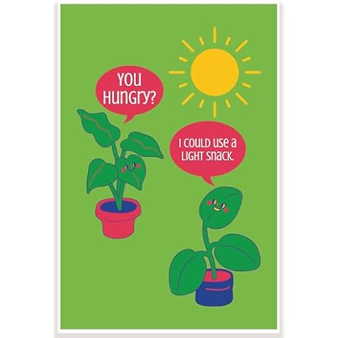 Printlabz You Hungry I Could Use A Light Snack Classroom Poster - Photosynthesis Pun - 12 x 18 Inch - Science Biology Classroom Decor - Classroom Must Haves - Back To School Decor - CPS0467 Cover