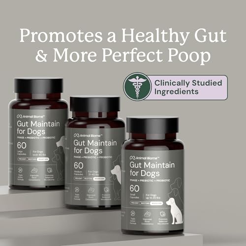 Image of Animal Biome Large Dog Pre and Probiotics, S Boulardii, Gut Maintain, 30 Ct | Triple-Action Dog Probiotics, Prebiotics & Phage S Boulardii Pet Supplements for Gut Health, Diarrhea Support, Food Topper