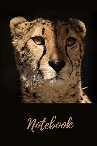 NOTEBOOK: Cheetah notebook with 120 lined pages 6” x 9” perfect for everyday use