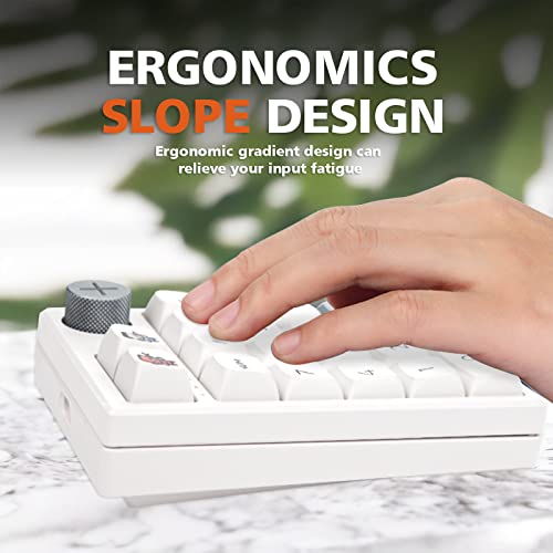 Darmoshark Tri-Mode Wireless Bluetooth Mechanical Numeric Keypad 19 Keys Mini Numpad Portable Keypad Rgb Backlight Gaming Keypad Extended Layout For Cashier(Fully Programmable Keys) #TOP2
