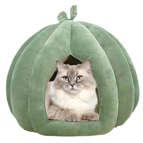 Camas Gatos Cerradas Marca Genérico