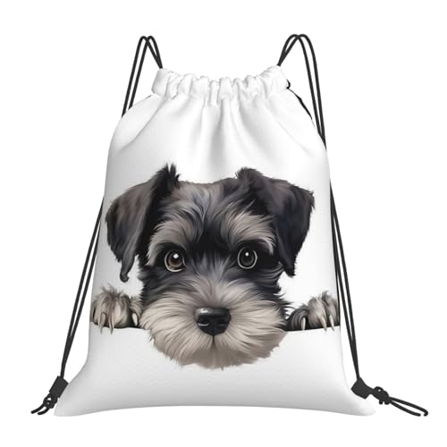 [Nestora] ibvTbN  ViEU[ v[obO jobO e y  jp  ^  s [֗