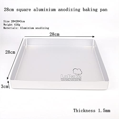 28cm Square Aluminium Alloy Nonstick Coating Leaky Baking Pan Biscuit Cookie Holder Bakery Oven Tray Steaming Tools DIY Bakeware (Aluminium Plain)