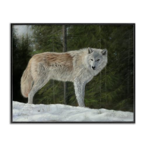Wild Coyote Wolf Forest Clearing, 24 x 30 Inch Framed Giclée Print