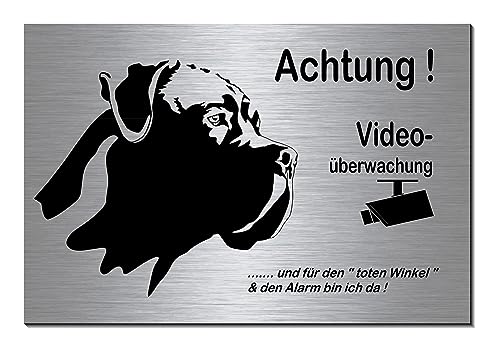 Hund Cane Corso-Video überwacht-Hund-Schild-Hundeschild- 300 x 200 x 3 mm-Aluminium-Edelstahloptik-Hunde-Tierschild-Warnschild-Hinweisschild (133-45 mit 4 Löcher)