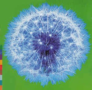 Week Or Two in the Real [Audio CD]