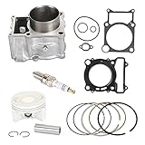 Le kit comprend un piston, un anneau, une goupille, une pince et un ensemble de joints supérieurs (vous recevrez exactement ce qui est montré sur l'image).