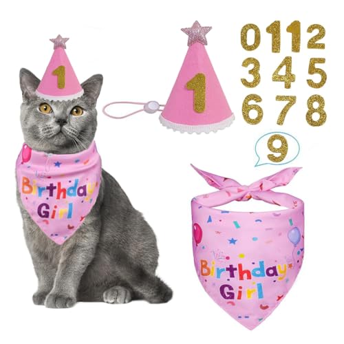Artigos para festas de aniversário de gatos, bandana de aniversário de gatos, chapéu de aniversário de gatos com números, decorações de festa de gatos para cães pequenos, gato rosa