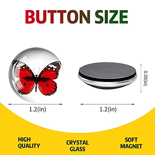 Cosow 12Pcs Glass Strong Magnetic Refrigerator Magnet Fridge Sticker - Butterfly Round Glass Fridge Decoration, Office Whiteboard Magnet, Cabinet Magnet, Dishwasher Magnet, Cabinet Cute Locker Magnet… #TOP2