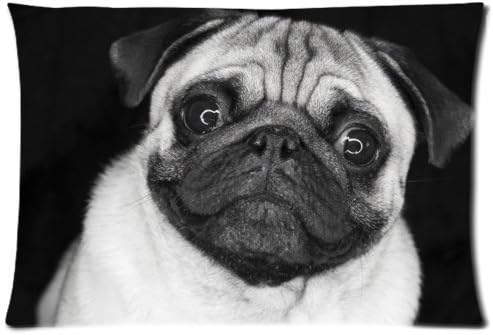 shop Pug Dog In Black And White background Embroidered Cotton Linen Decorative Throw Pillow Cover Cushion Case Pillow Case,16x24 inch,two-sided