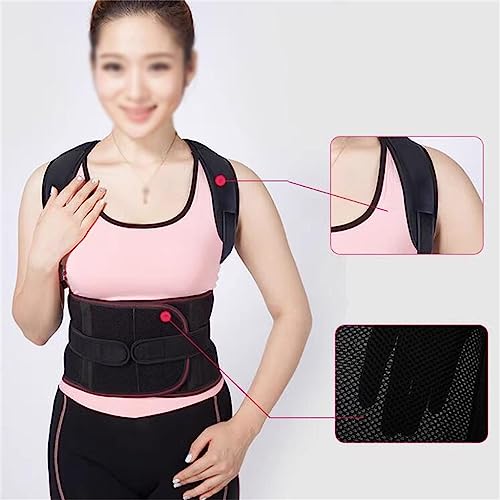 Correct The Spinal Artifact ��l�p �n���`�o�b�N ���� �j�� �X�g���[�g �o�b�N ���� �I���\�x���g (�J���[ : D�A�T�C�Y : �X���[��) (D 2XL)