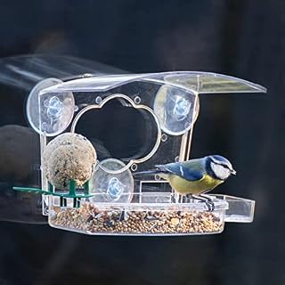 iBorn Window Bird Feeder with Strong Suction Cups Balcony for Wild Birds, Finch, Cardinal, Bluebirds Bird House with, Drinking-Water Sink, Fatball Perch